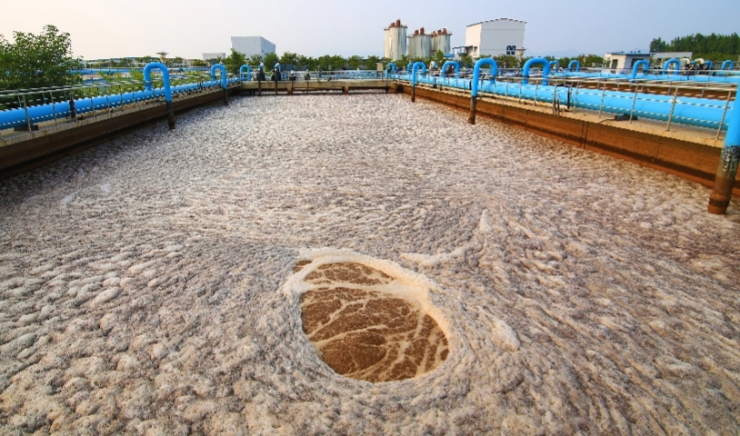 Sludge Treatment Systems
